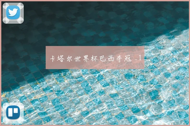 卡塔尔世界杯巴西夺冠 _1