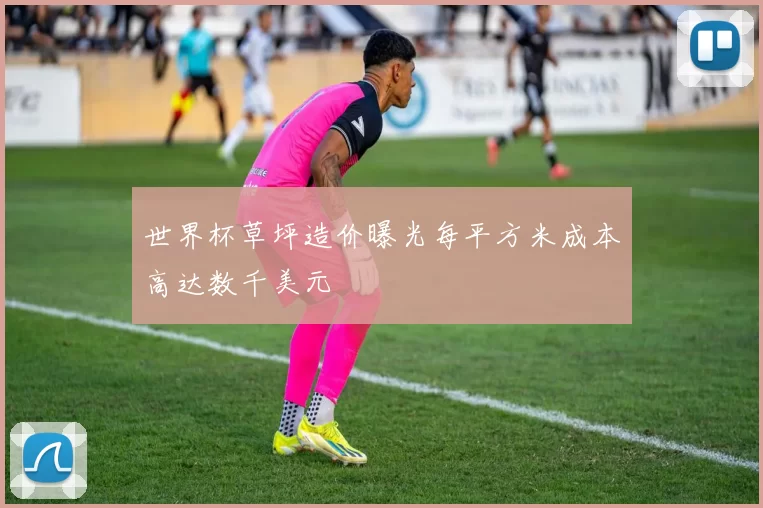世界杯草坪造价曝光每平方米成本高达数千美元