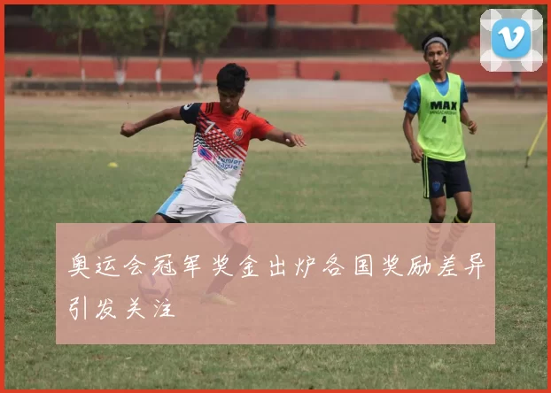 奥运会冠军奖金出炉各国奖励差异引发关注